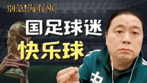 国足球迷骂人事件究竟发生在哪场比赛引关注