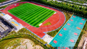 足球场旁是否设有看台?探寻其背后的布局与功能考量
