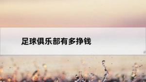 足球最佳球队能否成为吸金利器？探究赛场荣耀背后的财富密码