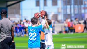 足球过半压线算进吗？规则解读与争议探讨