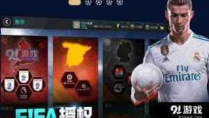 fifa足球世界世界杯选哪队