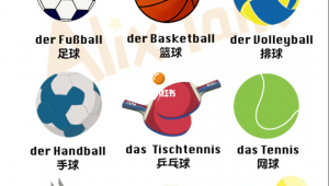 足球篮球按种类分吗