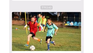 学校买足球学生应该交费吗