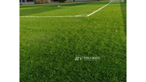 大庆足球场最近是否出租？