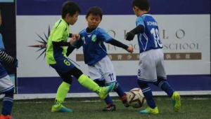 足球俱乐部赚钱难吗?解析其背后复杂的运营与盈利困境