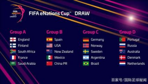 上届足球世界杯举办年份:足球激情在此刻绽放的难忘时光