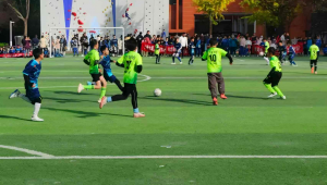 踢足球算文体活动吗?探寻这项运动在文体范畴的归属