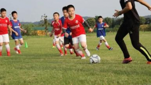 南京足球培训不提供场地？这一现象引发关注与思考