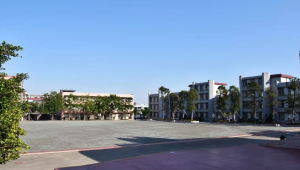 斗门理工是否拥有足球队?真相大揭秘