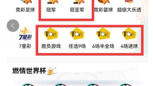 可以模拟试玩竞彩足球吗