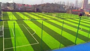 芜湖足球场现在免费吗