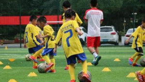 踢足球真的会锻炼智商吗？科学研究为你揭晓答案