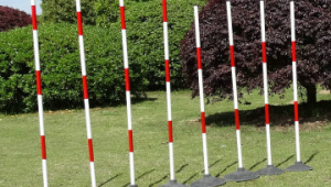 国外足球训练：球员们是否热衷练习绕杆？