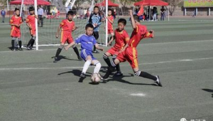 踢足球专用书包推荐，哪款能满足你的运动装备收纳需求？