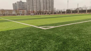 隆德大学有足球场吗？探索校园运动场地的真相