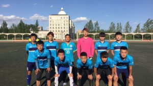 沈阳哪所大学能踢足球联赛，探寻校园足球热情与活力赛场