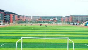 大学足球场地开放吗？探寻校园绿茵场的开放情况与使用规则