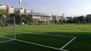 清远正规足球场有吗