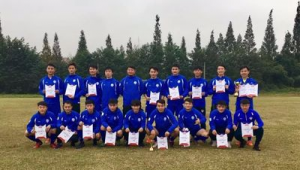 湖南能否进军专业足球队？前景与挑战深度剖析