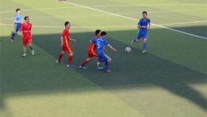 沧州踢足球的人多吗？探寻这座城市的足球热情与活力