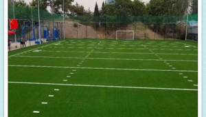 人工草皮能否踢足球？全方位解析其对足球运动的影响