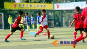 东莞有少儿足球培训机构吗