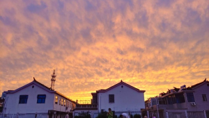 踢足球前跑步有用吗？一文为你深度剖析跑步对足球赛前准备的作用