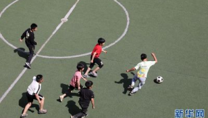 足球踢死人相关责任探讨：究竟谁该为此负责？