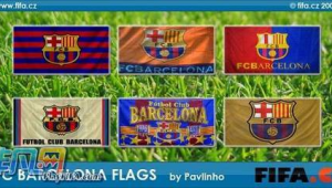 FIFA 足球世界：能否更改队旗？探索游戏中的这一疑问