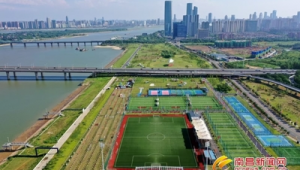 南昌足球场现在收费吗？是否开放？一文带你了解详情