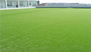 塑料足球草皮需要维护吗