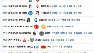 西乙足球比赛结果查看指南，全方位解析获取渠道