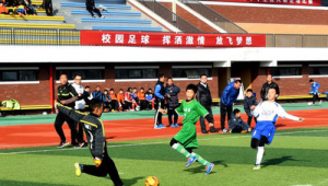 淄博有足球场吗最近