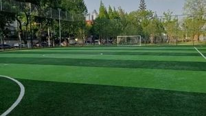 常青公园足球现在收费吗