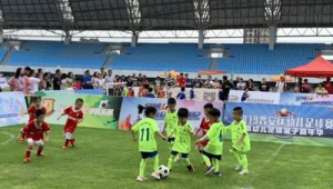 福州晋安区有足球馆吗？探寻当地足球运动场地现状