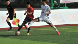 足球技术的两大组成部分