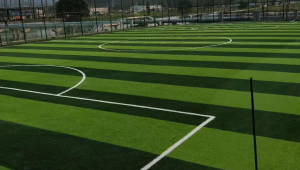 足球场真的用草坪吗？探寻绿茵场上那片生机盎然的秘密