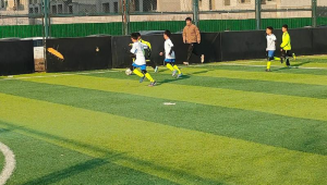 足球球门线禁区内能否踢球？规则解读与探讨