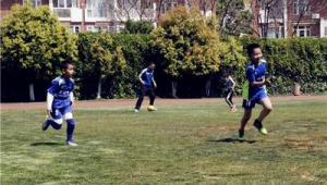 练足球早要看球练习吗?探讨足球练习与看球对提升的影响