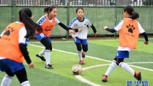 合肥哪些小学拥有校足球队