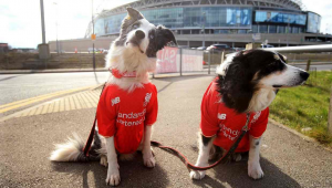 足球球衣销售,球员在此过程中是否能拿到提成?