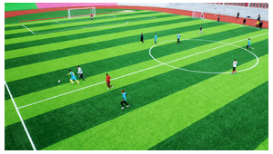 足球场上：能踢足球吗？这看似简单的问题背后藏着啥？