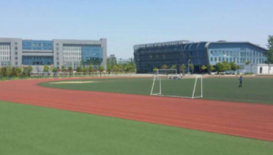 合肥职高是否有足球队？探寻职业高中绿茵风采