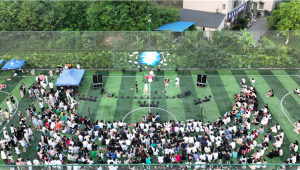 音乐节场地能用足球场吗？一文带你深入探讨可行性