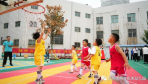 足球与篮球谁更易上手?解析两项运动学习难度差异