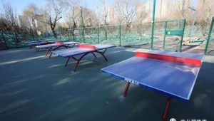 方庄体育公园足球收费情况揭秘，一文带你全知晓