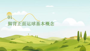 足球用脚背踢球是否违法，背后真相你知道吗