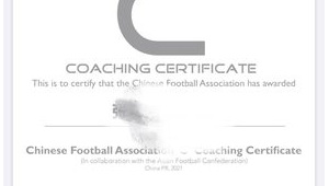 足球教练证D级可任职之处，你知道能去哪里上班吗