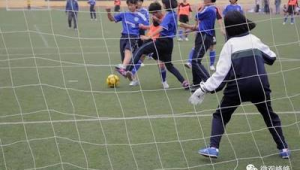 足球能否纳入教育培训？引发的思考与探讨