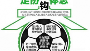 足球协会是否具有行政级别？深度剖析背后真相